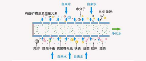 專業(yè)揭秘凈水器哪個(gè)好？品牌＆濾芯才是關(guān)鍵