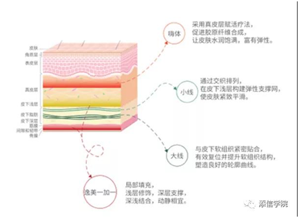 “醫(yī)美之王”愛美客，能否超越600億華熙生物?