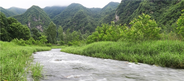 走進仲景宛西制藥藥材基地 探索“藥材好，藥才好”的秘密