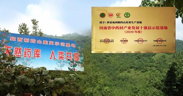 仲景宛西制藥山茱萸基地榮獲“2020河南省中藥材產(chǎn)業(yè)發(fā)展十強(qiáng)縣示范基地” 等榮譽(yù)