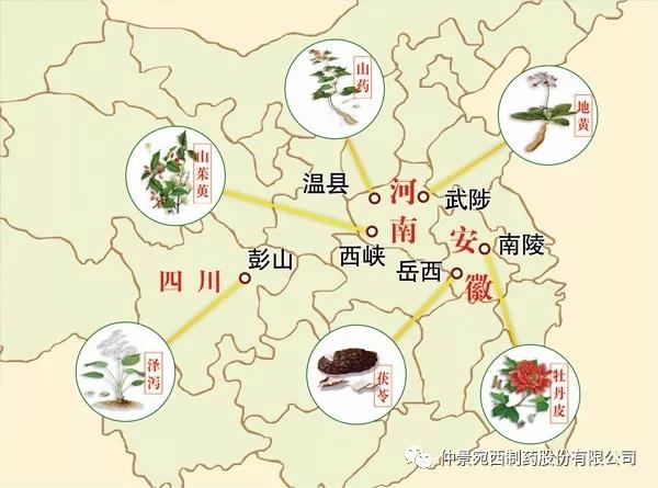 仲景宛西制藥山茱萸基地榮獲“2020河南省中藥材產(chǎn)業(yè)發(fā)展十強(qiáng)縣示范基地” 等榮譽(yù)