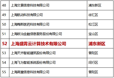 比格云榮獲”2020上海軟件和信息技術(shù)服務(wù)業(yè)高成長百家”