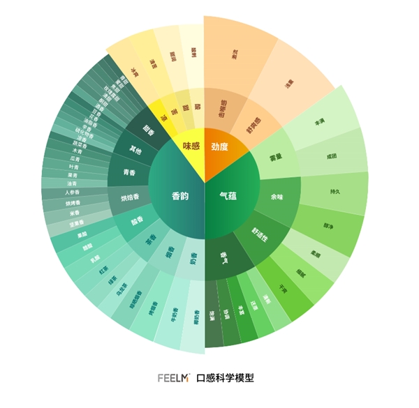 穿越口感秘境，F(xiàn)EELM打造口感科學(xué)體系