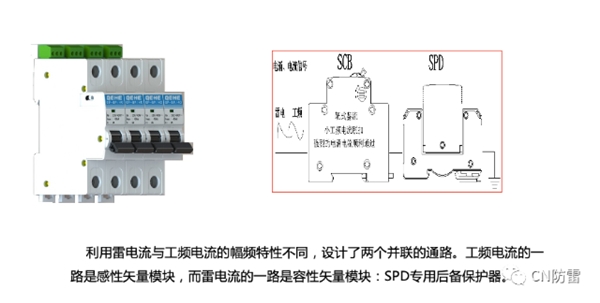 SPD專欄 