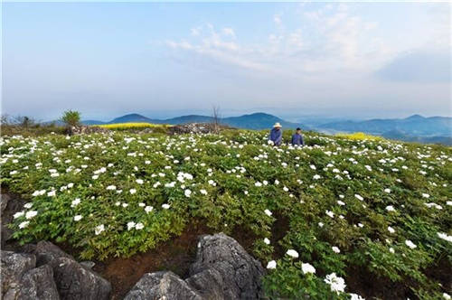 仲景之光普照醫(yī)圣故里——仲景宛西制藥守正創(chuàng)新高質(zhì)量發(fā)展紀(jì)實(shí)