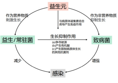 微生態(tài)護(hù)膚時(shí)代來臨 華熙生物化妝品級(jí)原料新品Biobloom?出擊新賽道