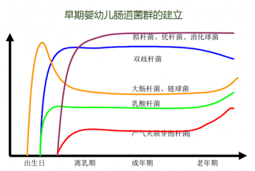 健合集團(tuán)即將推出合生元益生菌滴劑