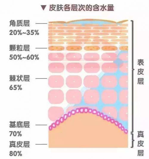 干皮如何補(bǔ)水？正確補(bǔ)水方式讓你度過(guò)干燥春季