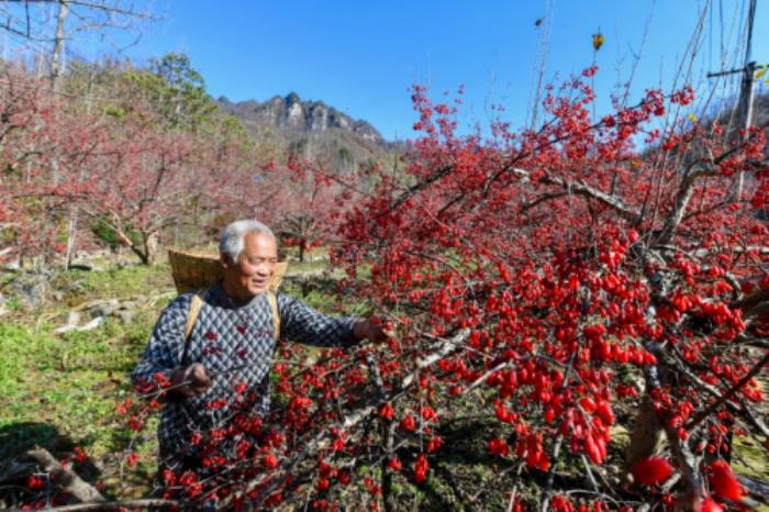 仲景宛西制藥舉辦醫(yī)圣張仲景誕辰1875周年紀(jì)念儀式